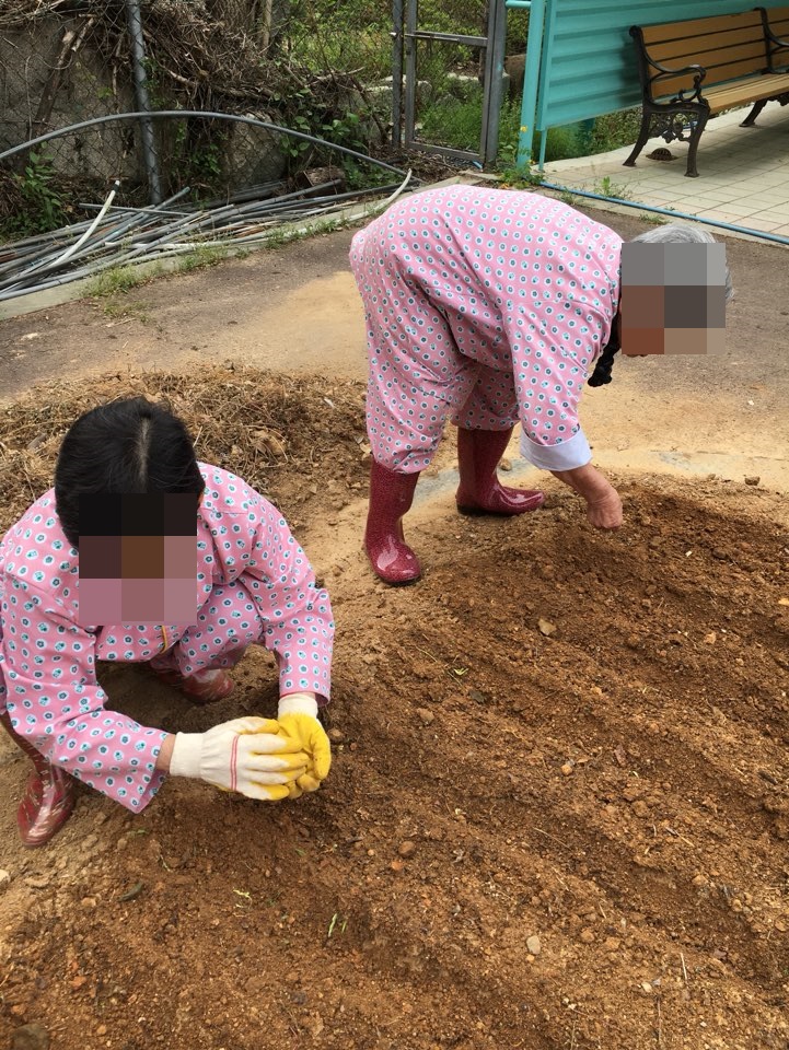 산책로 텃밭 만들기